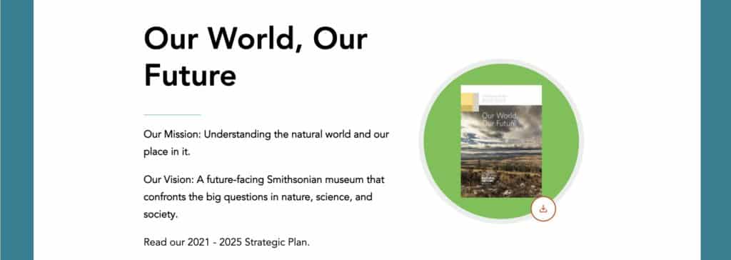 Smithsonian Vision Statement for Rebranding